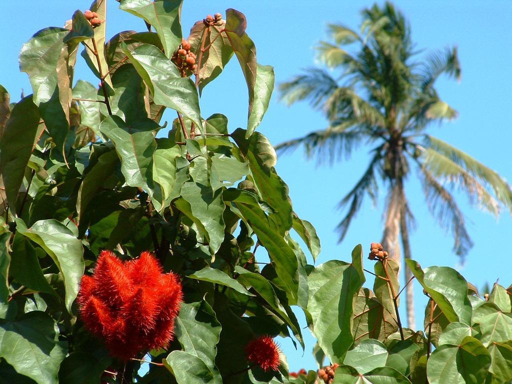 Princess Salme Inn Zanzibar Εξωτερικό φωτογραφία